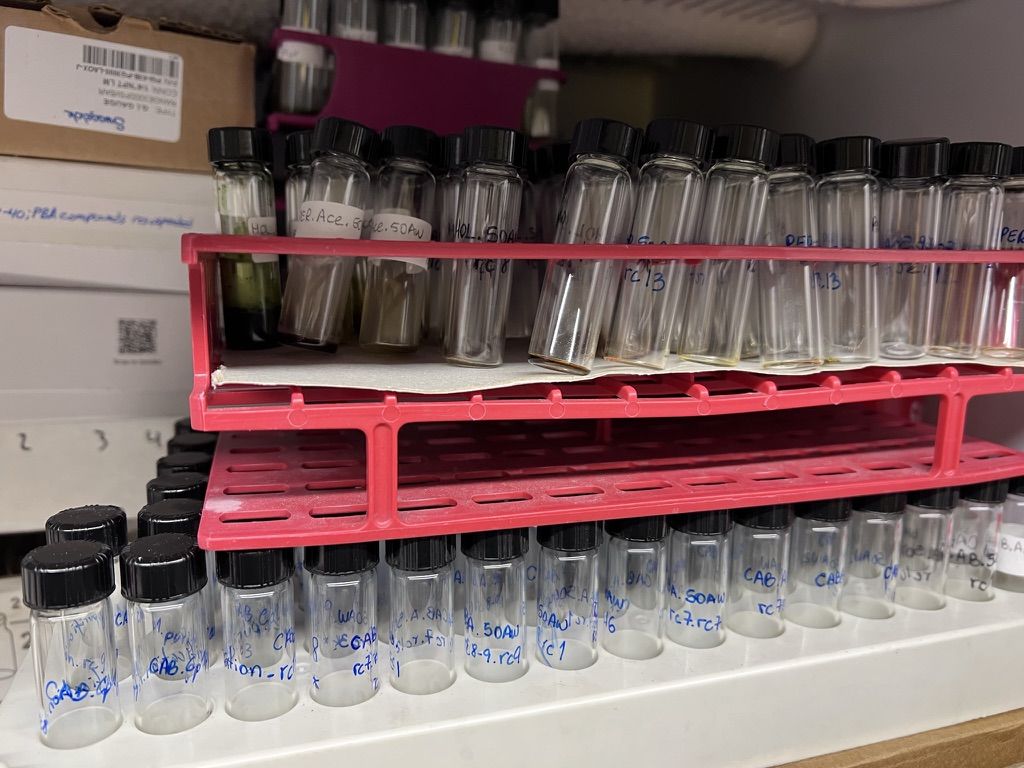 Rows of labeled extract and fraction vials
