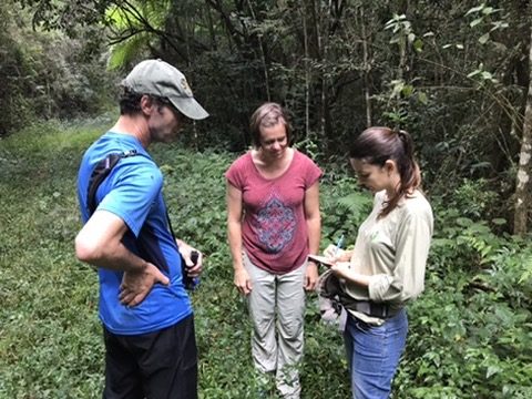 Three researchers reviewing notes at the forest edge