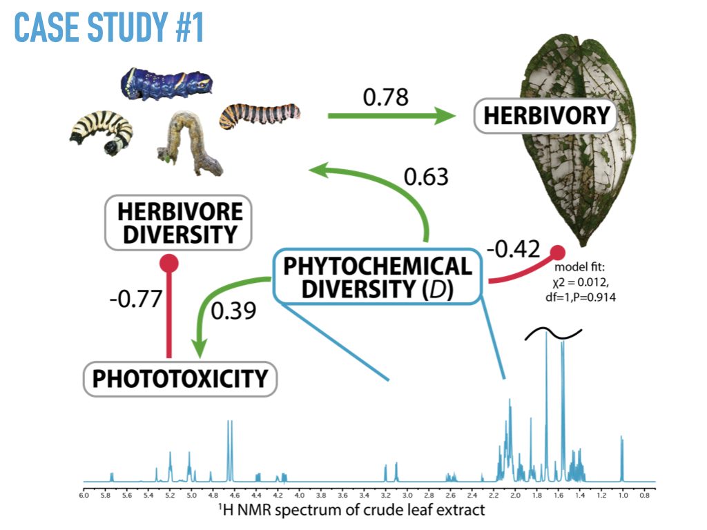 Path diagram linking phytochemical diversity measured by 1H NMR to herbivory, herbivore diversity and phototoxicity