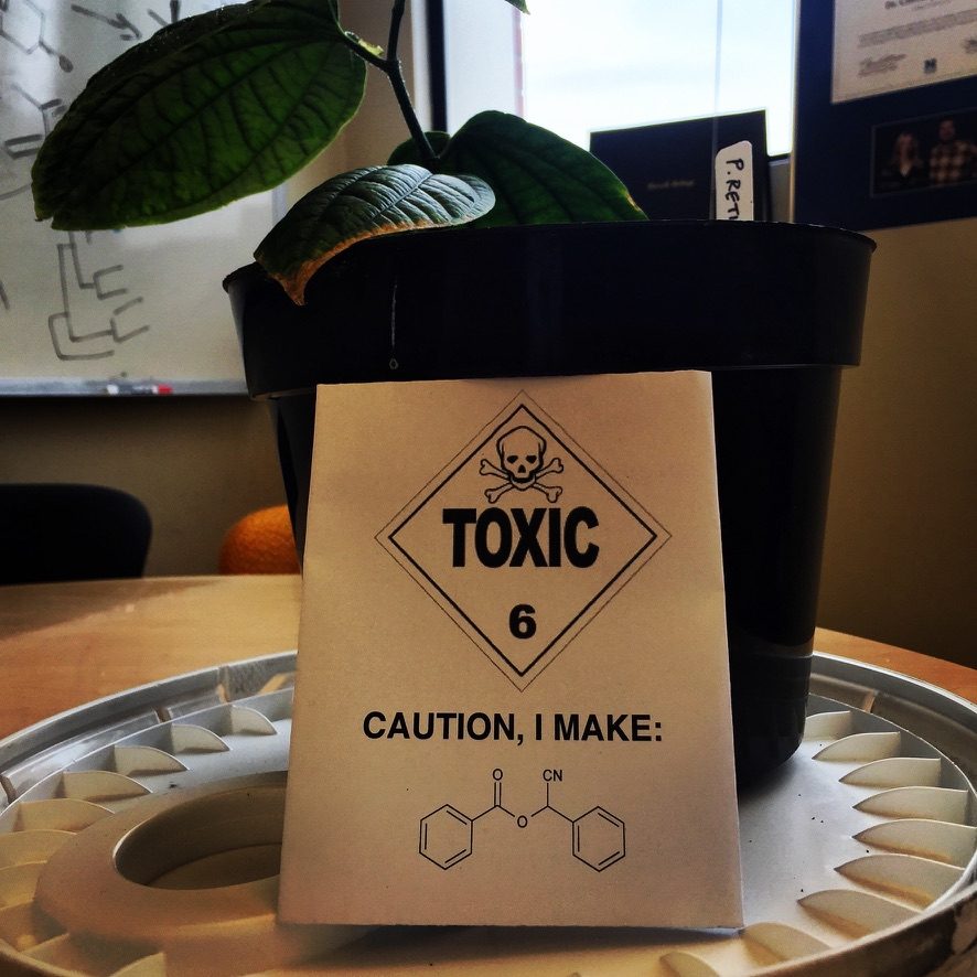 Potted Piper plant behind a sign reading Toxic, caution I make, with a chemical structure