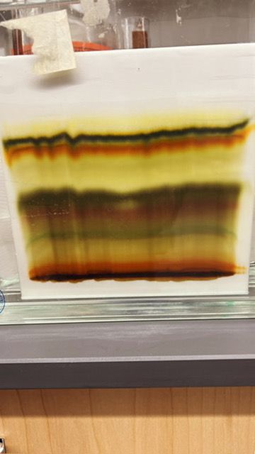 Chromatography plate with yellow, orange and green pigment bands