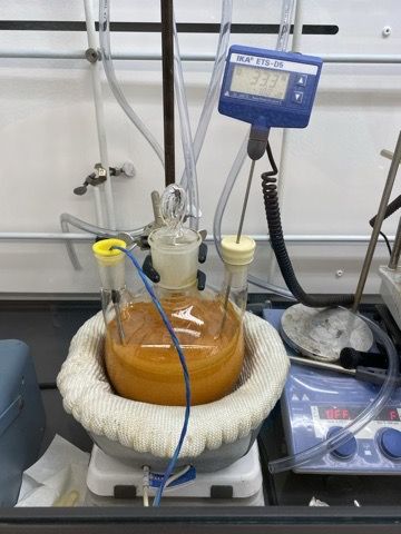 Orange reaction mixture in a heated round-bottom flask