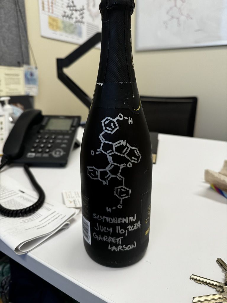 Champagne bottle with the structure of scytonemin drawn on it
