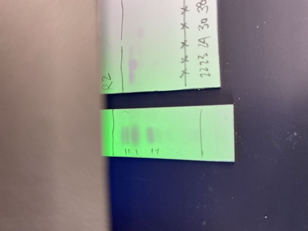TLC plates glowing green under UV light